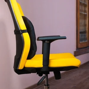 پشت کمری طبی باراد مدل LS1