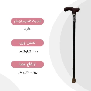 عصای لردی دسته چوبی زیکلاس مد مدل ZYW029
