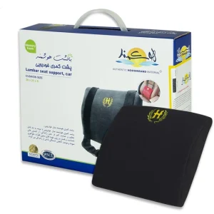 پشت کمری اتومبیلی هوشمند